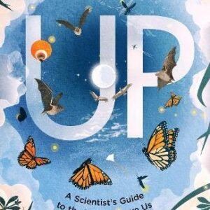 Up