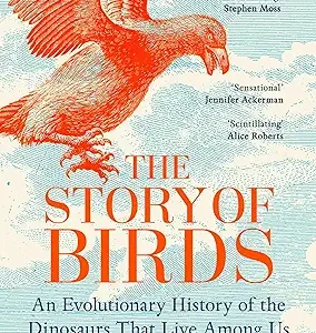 The Story Of Birds
