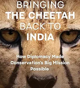 Bringing The Cheetah Back To India