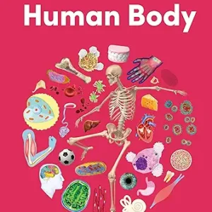 Eye Wonder Human Body