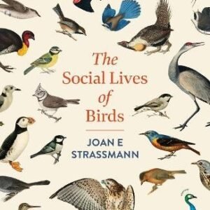The Social Lives Of Birds
