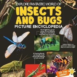 Insects And Bugs Picture Encyclopedia