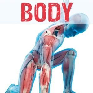Super Facts Body